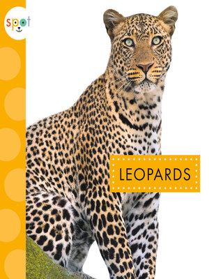 cover image of Leopards